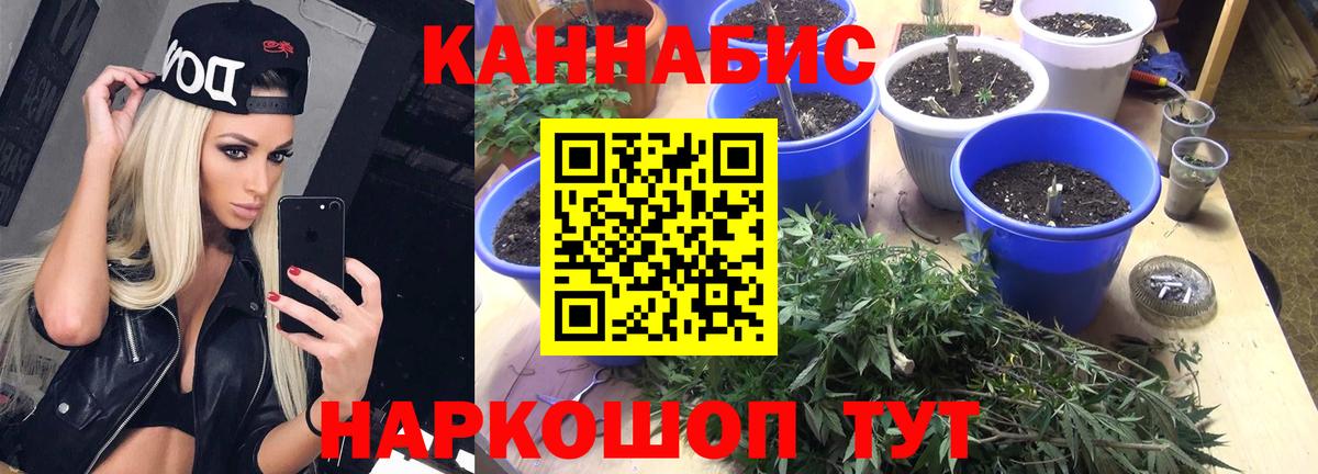Канабис White Widow  МАРИХУАНА Ganja  Шишки марихуана планчик  Марихуана индика  Вход с VPN  Реж 